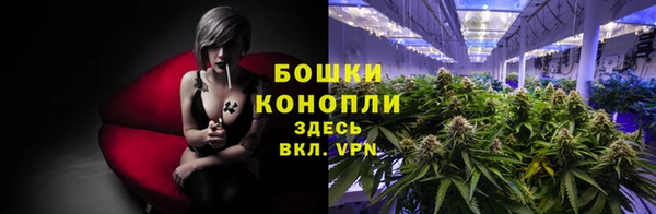 PSILOCYBIN Вязники