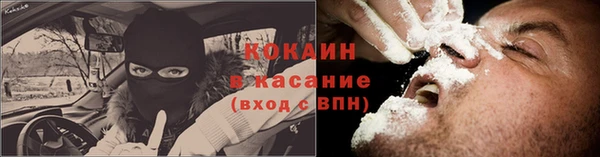 PSILOCYBIN Вязники