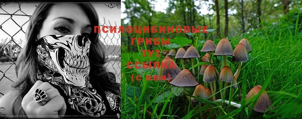 герыч Верхний Тагил