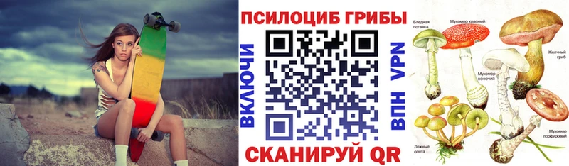 Галлюциногенные грибы Psilocybine cubensis  ссылка на мегу как зайти  Дзержинский  купить наркотик 
